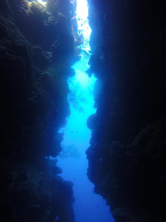 Biorock Homestay & Dive Center Pemuteran Exterior photo