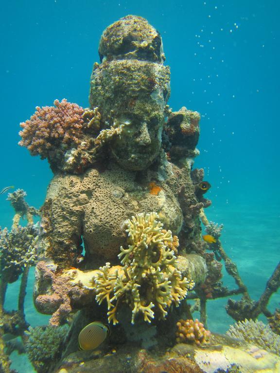 Biorock Homestay & Dive Center Pemuteran Exterior photo