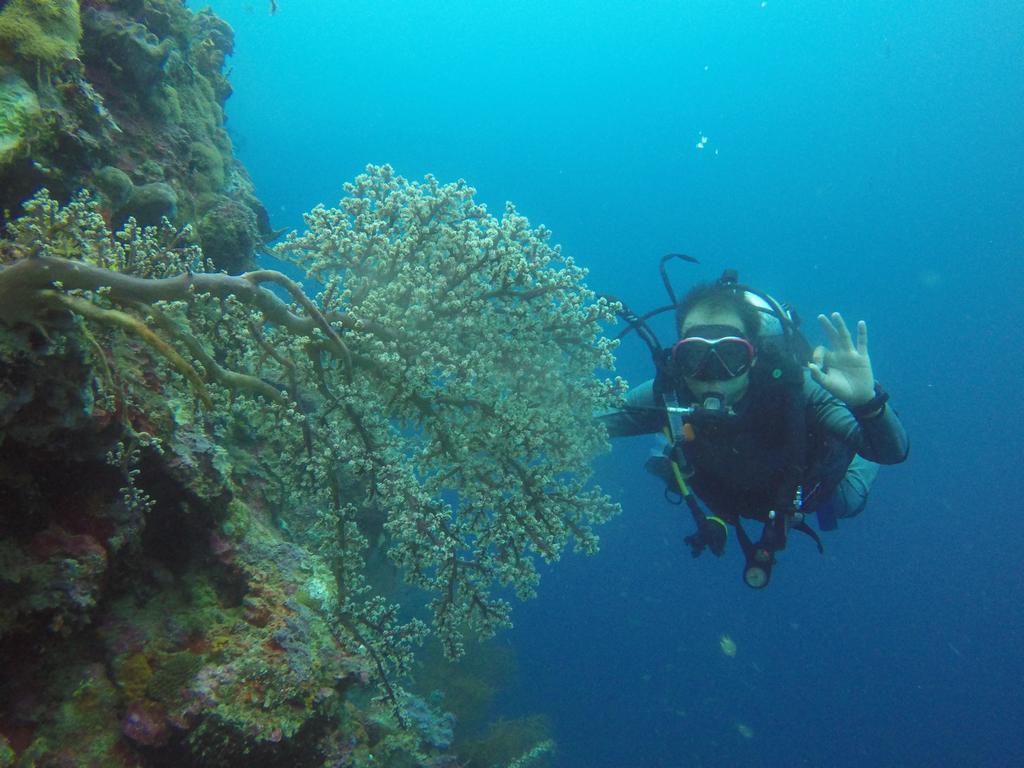 Biorock Homestay & Dive Center Pemuteran Exterior photo