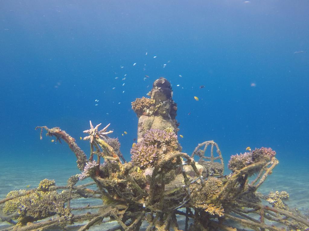 Biorock Homestay & Dive Center Pemuteran Exterior photo