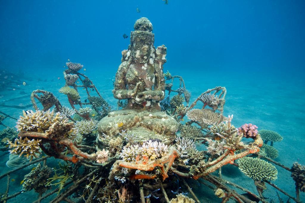 Biorock Homestay & Dive Center Pemuteran Exterior photo